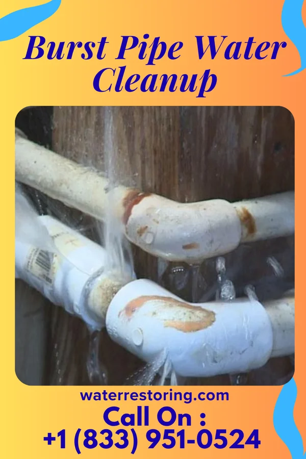 Burst Pipe Water Cleanup in North Lewisburg, OH