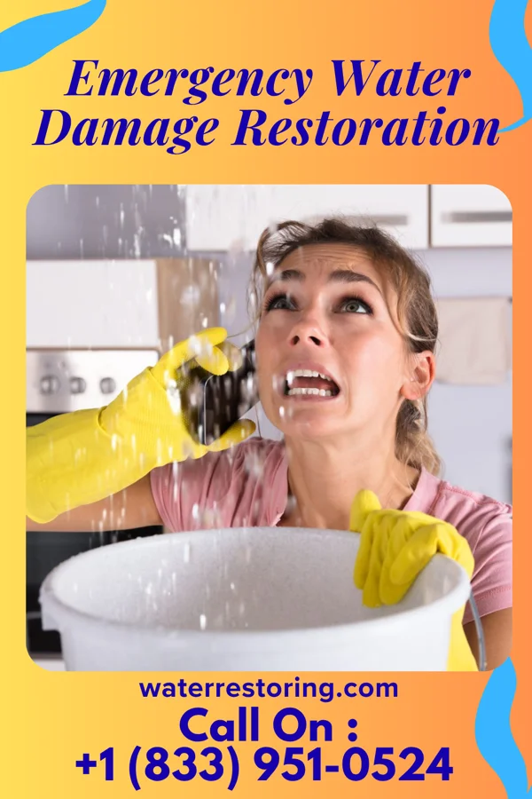 Emergency Water Damage Restoration in North Lewisburg, OH