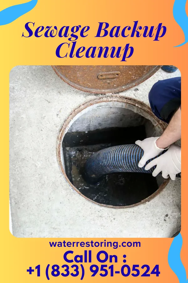 Sewage Backup Cleanup in North Lewisburg, OH