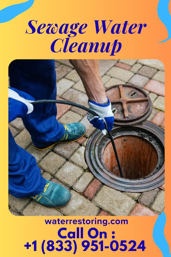Sewage Water Cleanup in North Lewisburg, OH